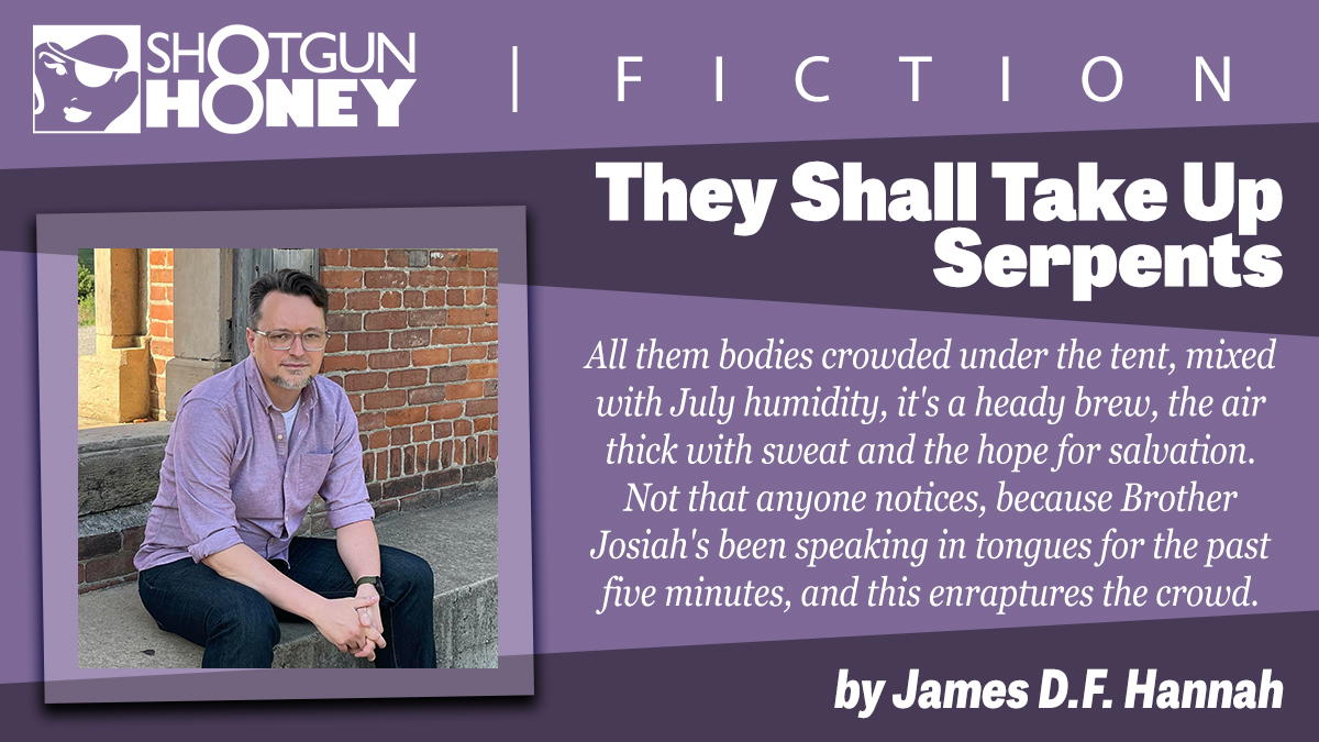 They Shall Take Up Serpents by James D.F. Hannah – Shotgun Honey